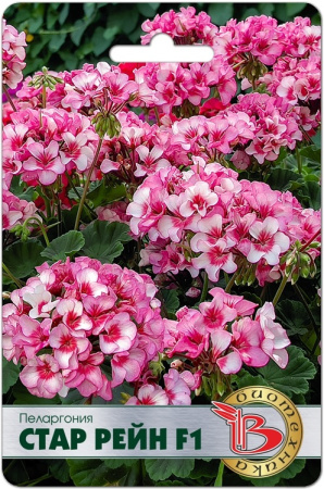 3A3C883A-C7D8-44C1-B757-01A03FE9A710