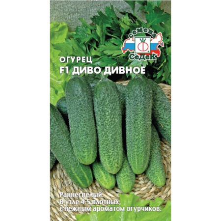 диво дивное