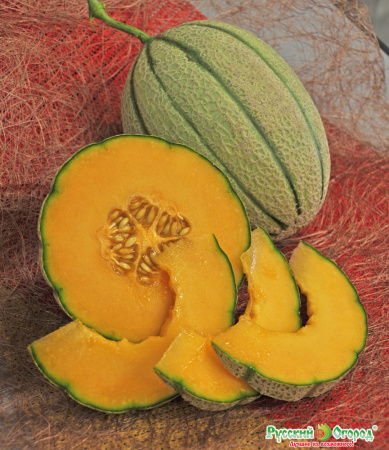 893c93c82bfd9fdab5bbc5ad438ec0f1