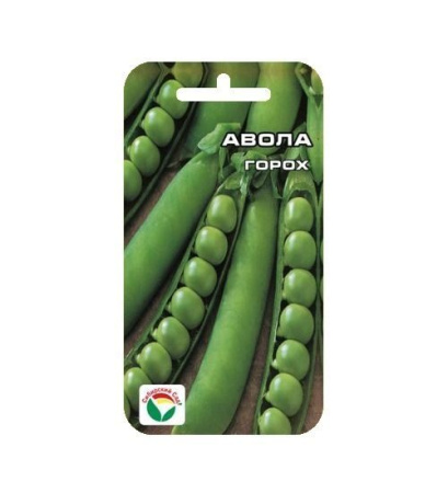 avola