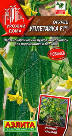 Огурец Уплетайка аэлита