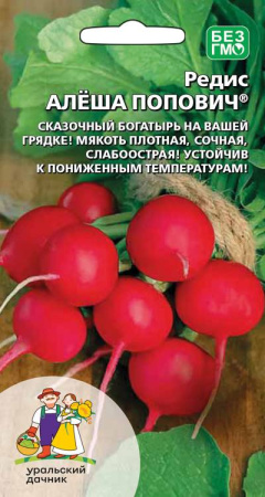 алеша