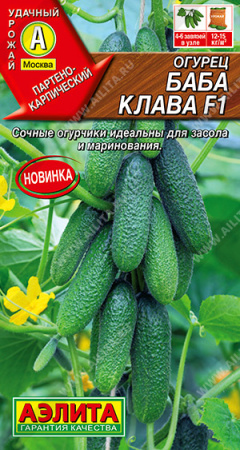 баба клава