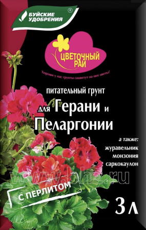 IMG-0039