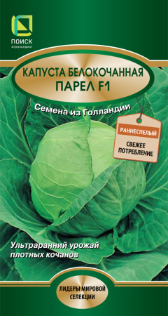 kapusta_belokoch_parel