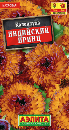 Календула Индийский принц аэлита