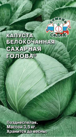капуста саx голова