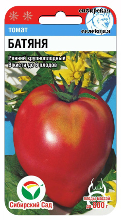 Батяня