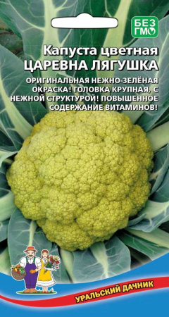 kapusta-cvetnaya-carevna-lyagushka