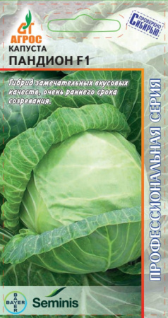 Пандион