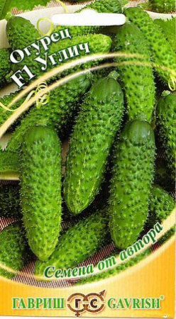 1508