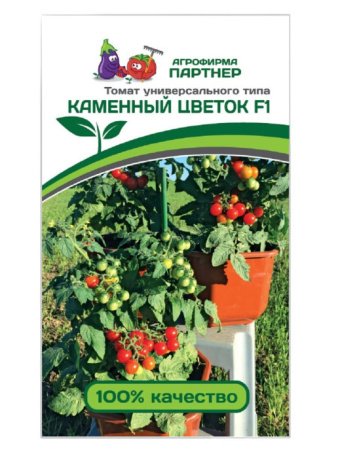 каменный цветок