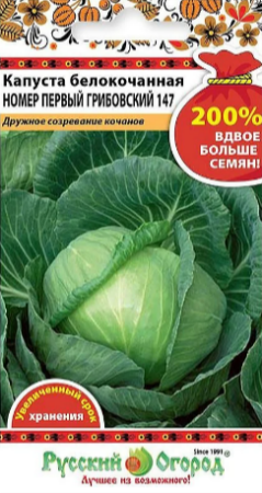 2024-01-08_11-05-19