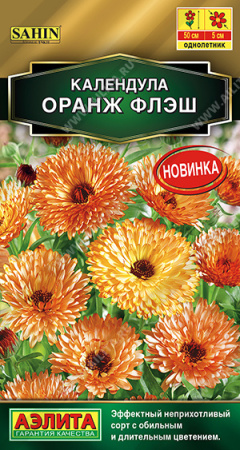 календула