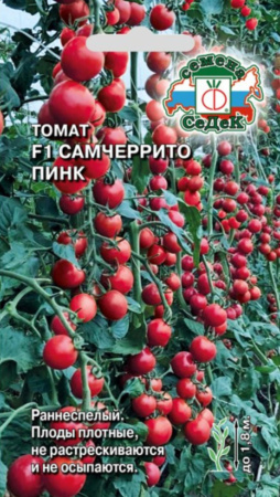 IMG-1528
