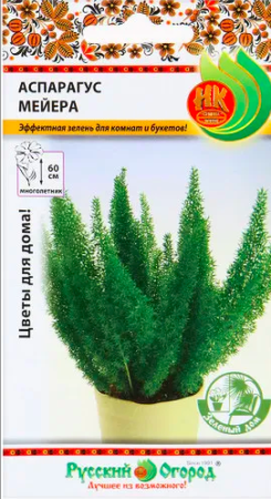 аспарагус мейера