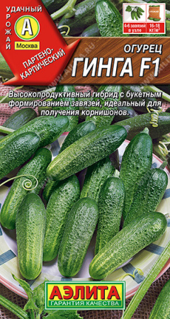 гинга