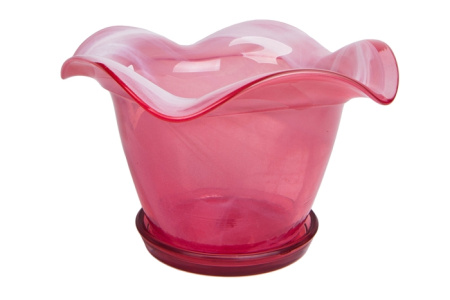 элли роз крш