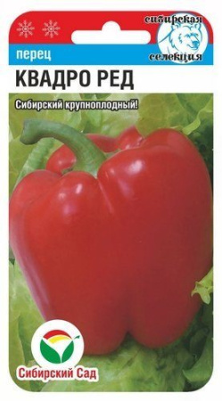 квадро ред