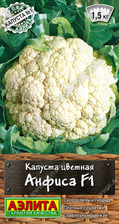 059b8bf0_599a_11ec_8101_0cc47adb9c64_3a4ff09d_f93d_11ec_810c_0cc47adb9c64