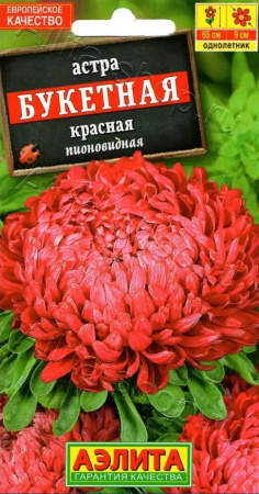 456