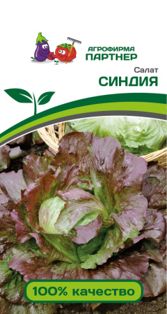 салат синдия партнер