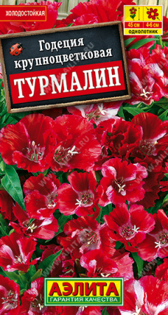 Годеция Турмалин аэлита