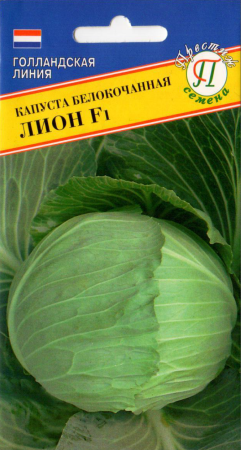 146