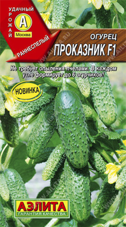 проказник