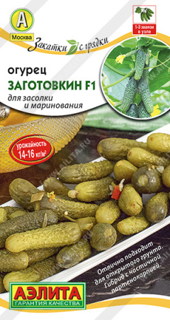 заготовкин