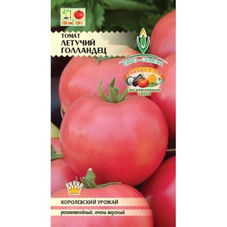 Летучий голландец