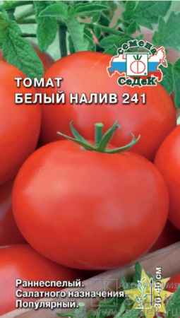 1119