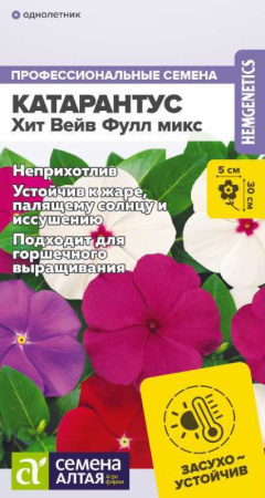 131