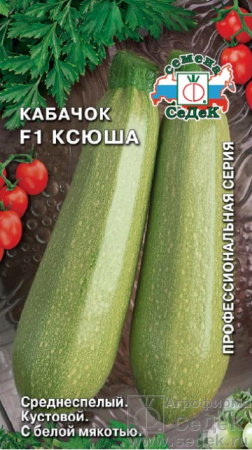 kabachok_ksyusha_f1