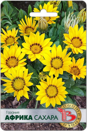 B94EE556-415A-4DE7-B7F0-B428F19A1325