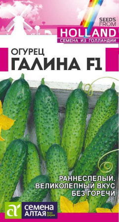 Огурец Галина Сем Алтая