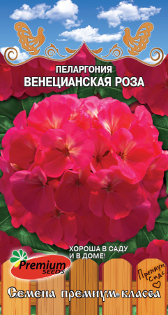 пеларгония