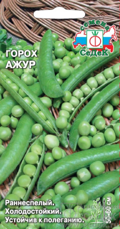 gorokh_azhur