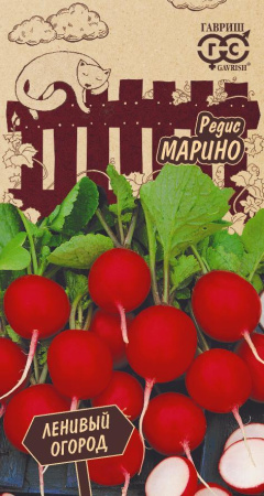 Редис Марино гавриш