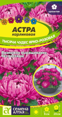 карликовая