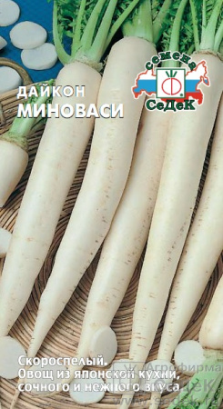 daykon_minovasi