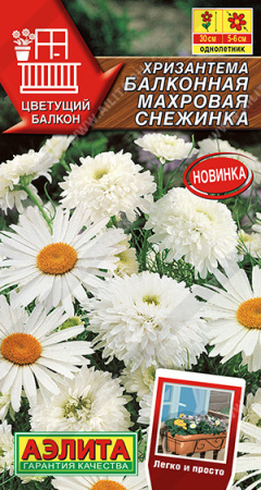 хризантема махровая снежинка аэлита