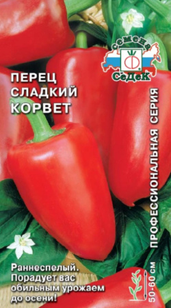 IMG-0034