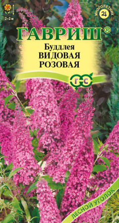 Буддлея Видовая роз гавриш