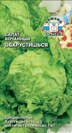 salat_obkhrustishsya