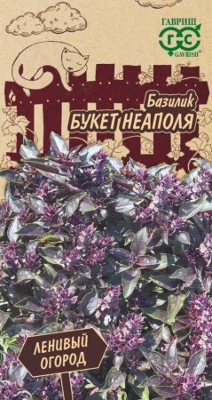 4d404059-1c1a-11ef-8928-ac1f6be766f7_62ae8b59-1c1a-11ef-8928-ac1f6be766f7