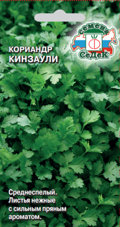 кориандр