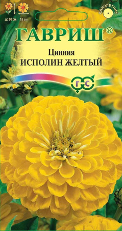 2604