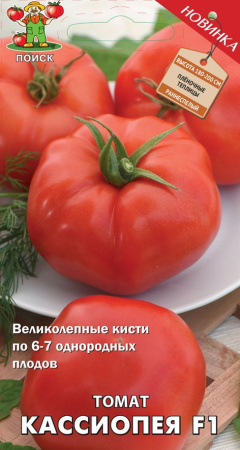 Кассиопея
