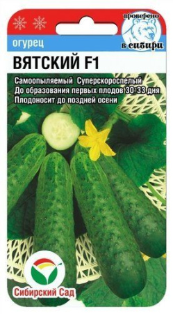 вятский